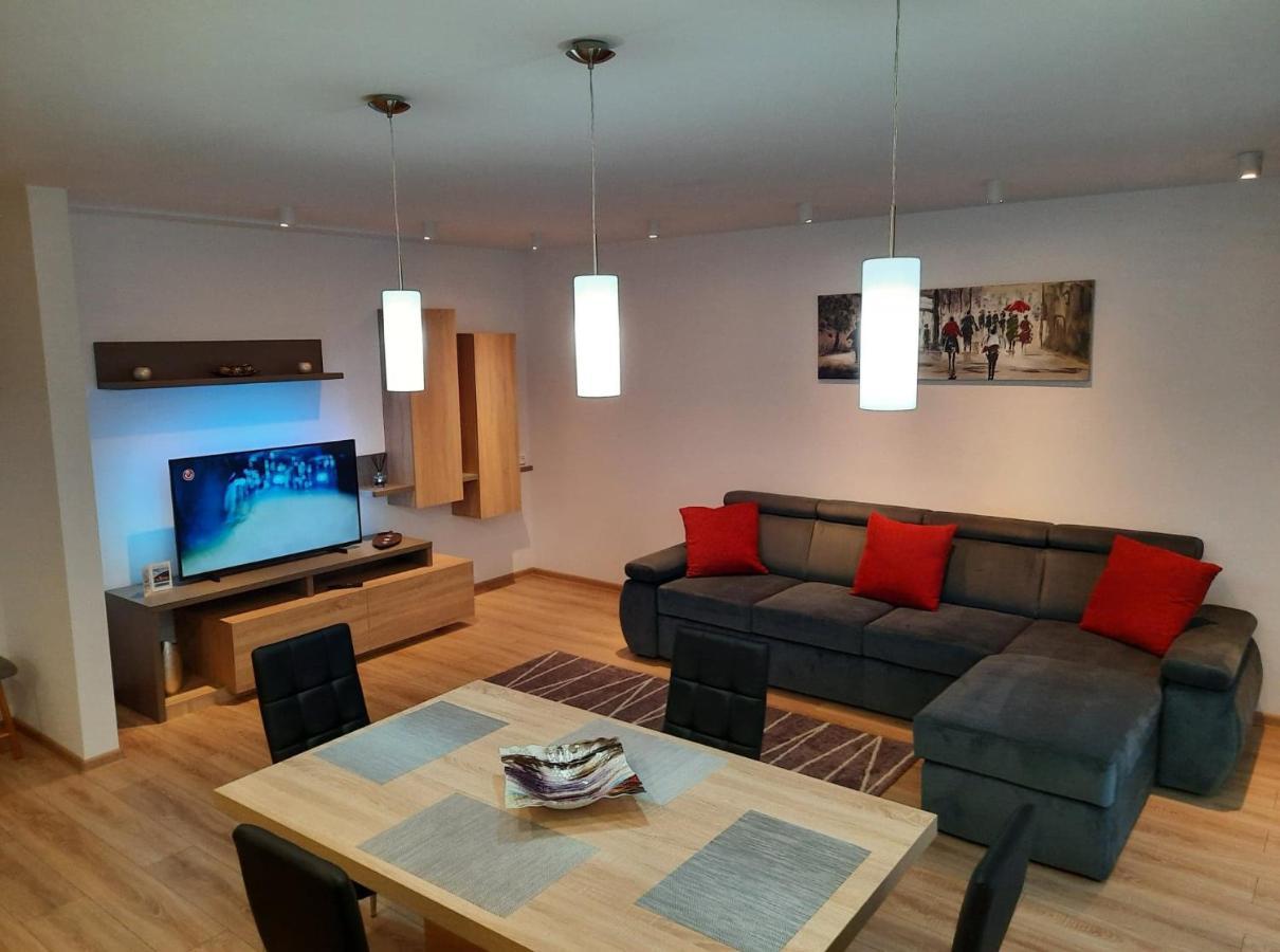 Sorin'S Comfortable Apartment 布拉索夫 外观 照片