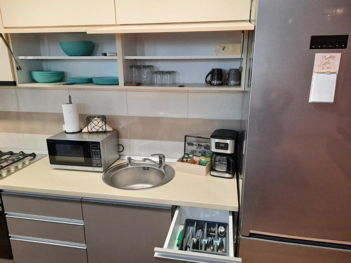 Sorin'S Comfortable Apartment 布拉索夫 外观 照片