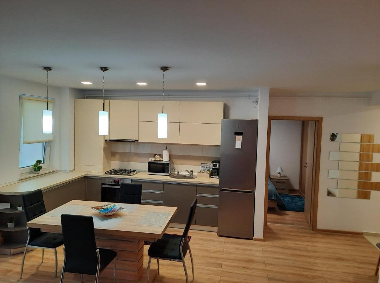 Sorin'S Comfortable Apartment 布拉索夫 外观 照片