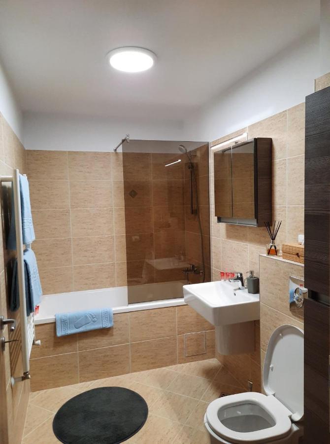 Sorin'S Comfortable Apartment 布拉索夫 外观 照片