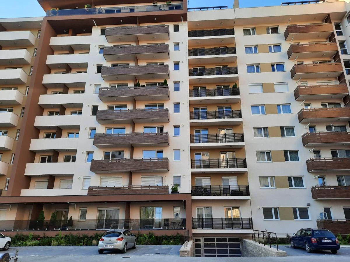 Sorin'S Comfortable Apartment 布拉索夫 外观 照片