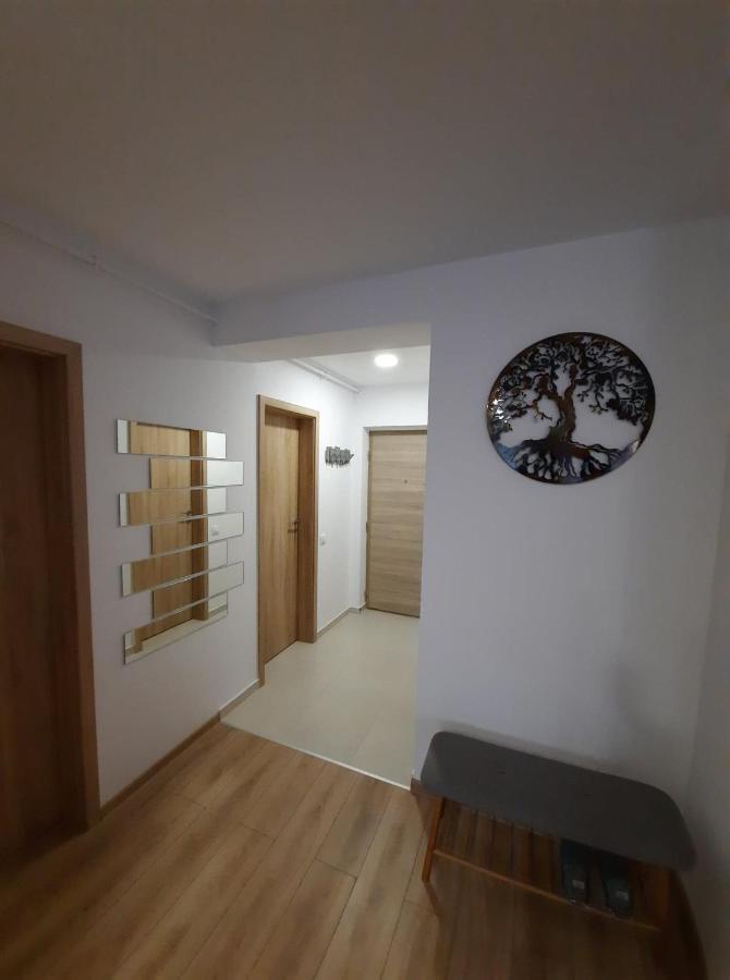Sorin'S Comfortable Apartment 布拉索夫 外观 照片